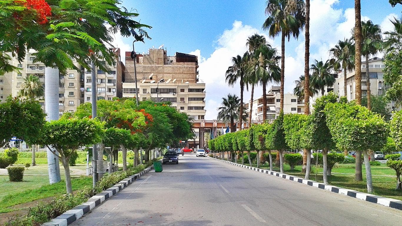 Mansoura University