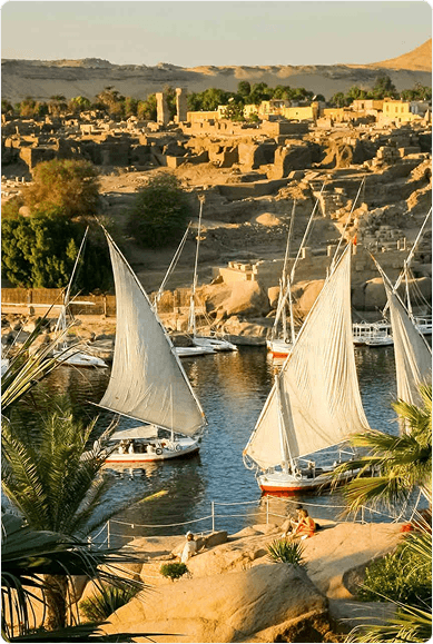 Medical University in Egypt